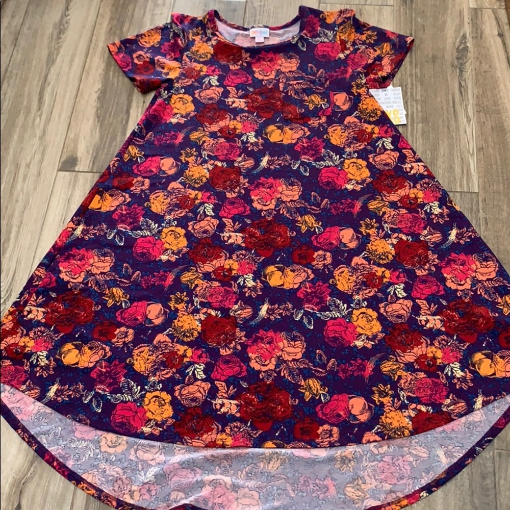 LuLaRoe XXS floral Carly 🌸🌺 purple pink flowers!